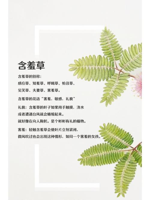 绿岛影院的相关介绍