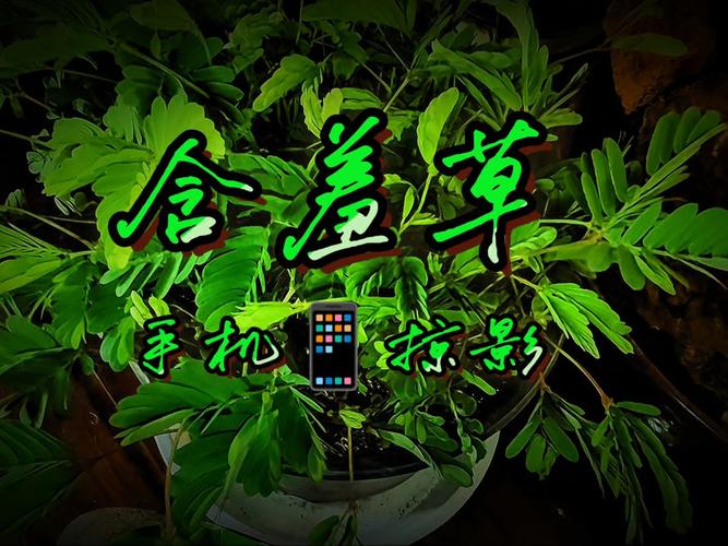 峡谷影院 - 在线观看高分电影、最新电视剧与热门综艺，畅享高清无广告观影体验
