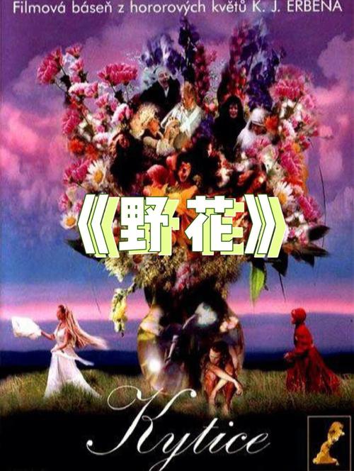 鲁大妈影院免费在线观看 - 最新电影电视剧高清资源 | 长尾关键词 | 鲁大妈影院
