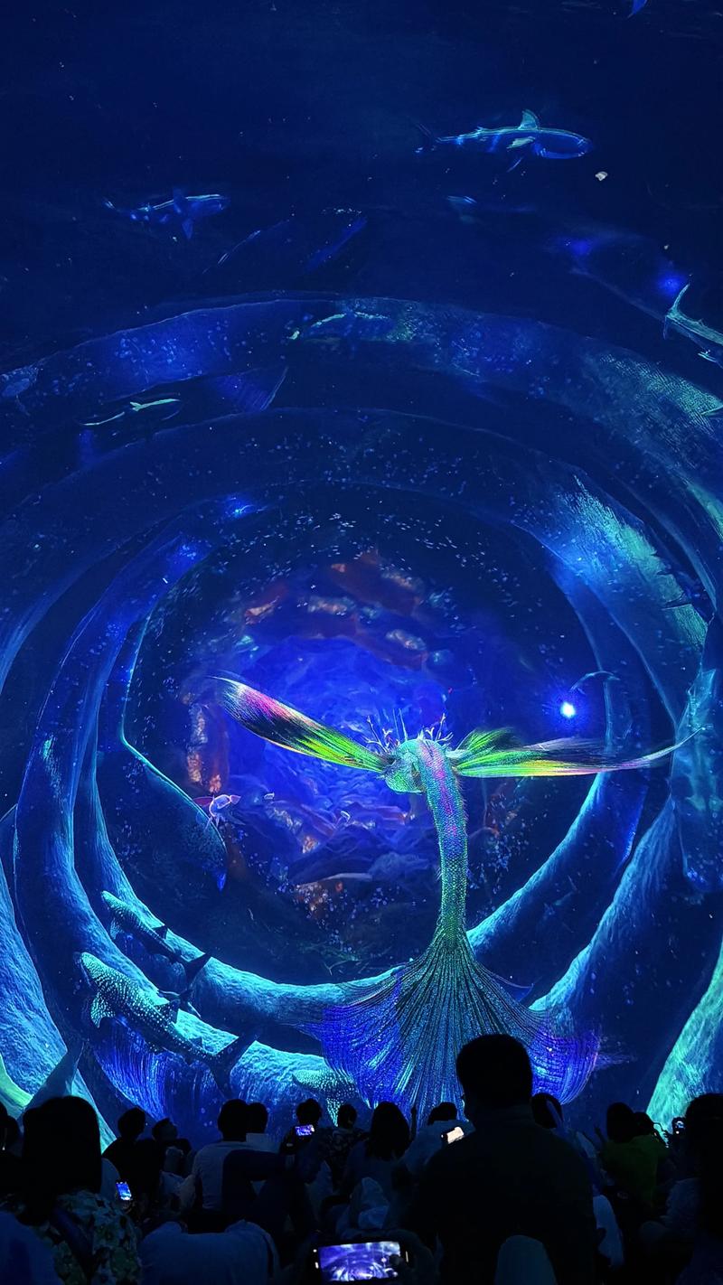 神马影院dy88午夜通：全网最新午夜影视资源免费在线观看，高清画质流畅体验