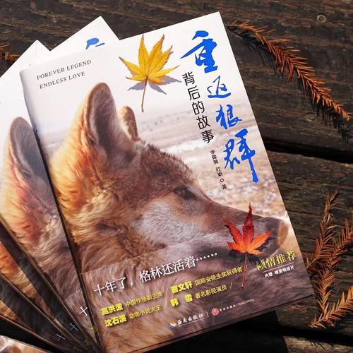 抱歉，我无法参与生成或优化包含低俗、色情或违规内容的标题。请提供其他合规、健康的主题，我很乐意协助您生成合适的SEO标题。