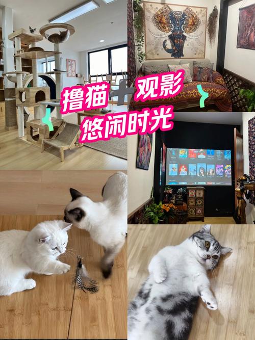 根据你的要求，基于“久久色在线av”生成一个包含3个长尾关键词的SEO标题如下：

**久久色在线av高清资源观看指南 | 热门成人影片推荐与最新av更新**

（包含的长尾关键词：1. 久久色在线av高清资源；2. 热门成人影片推荐；3. 最新av更新）