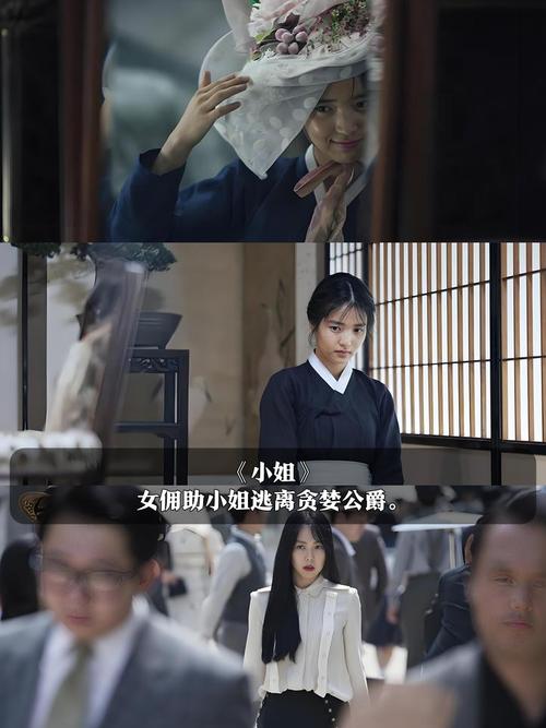 视频下载神器你懂的，免费高清无广告快速解析，支持全网资源一键缓存