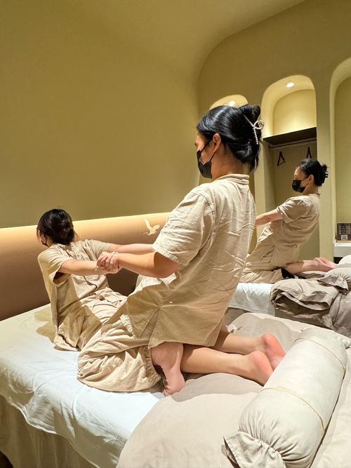 爽爽影院免费观看的相关介绍