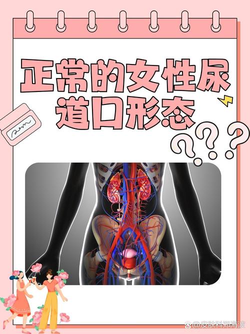 欧美色爽11p图片的相关介绍
